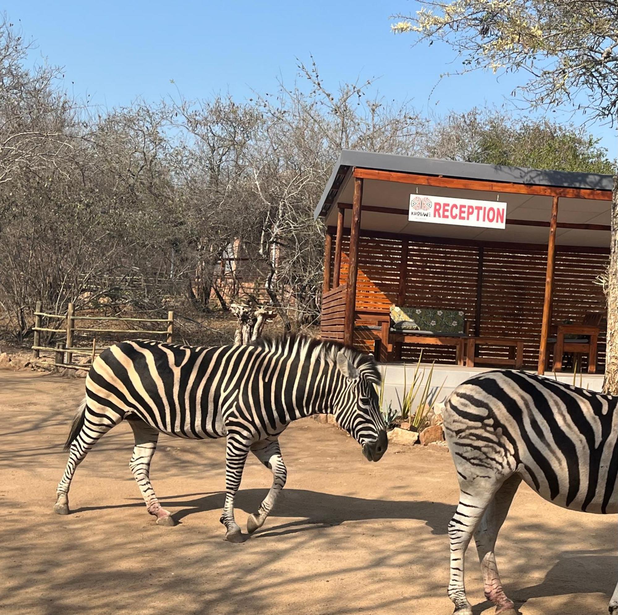 Kholiwe On Kruger Lodge & Safaris Marloth Park Buitenkant foto