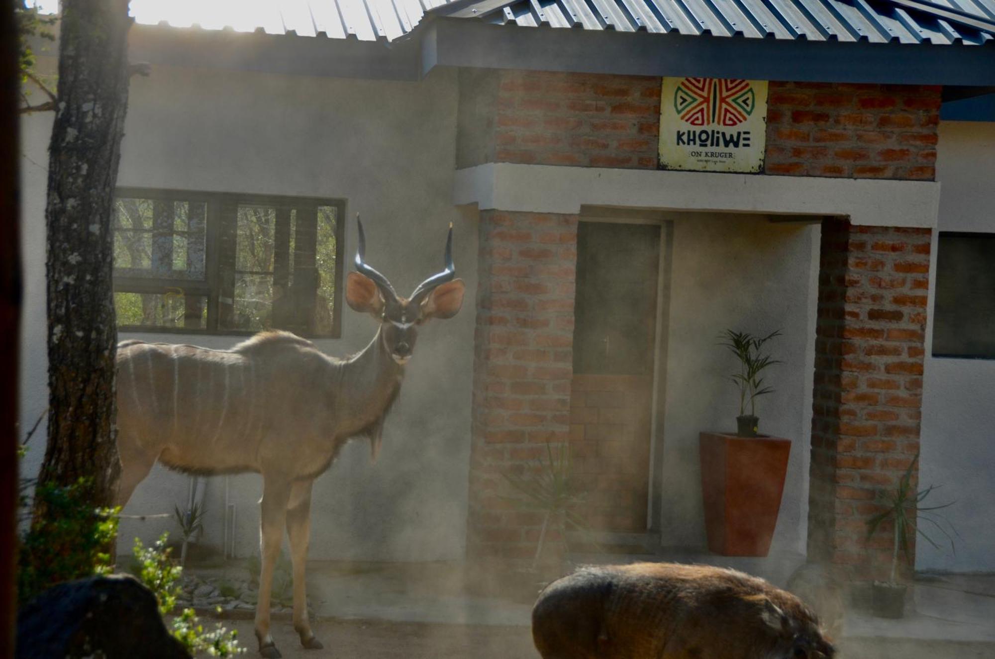 Kholiwe On Kruger Lodge & Safaris Marloth Park Buitenkant foto