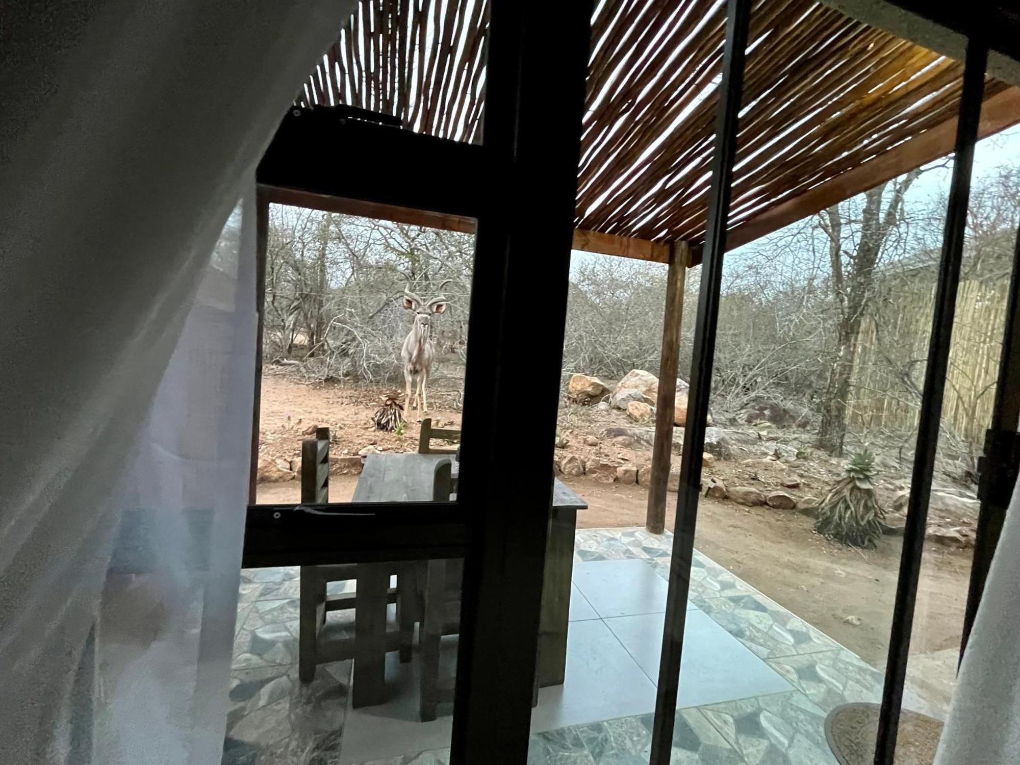 Kholiwe On Kruger Lodge & Safaris Marloth Park Buitenkant foto