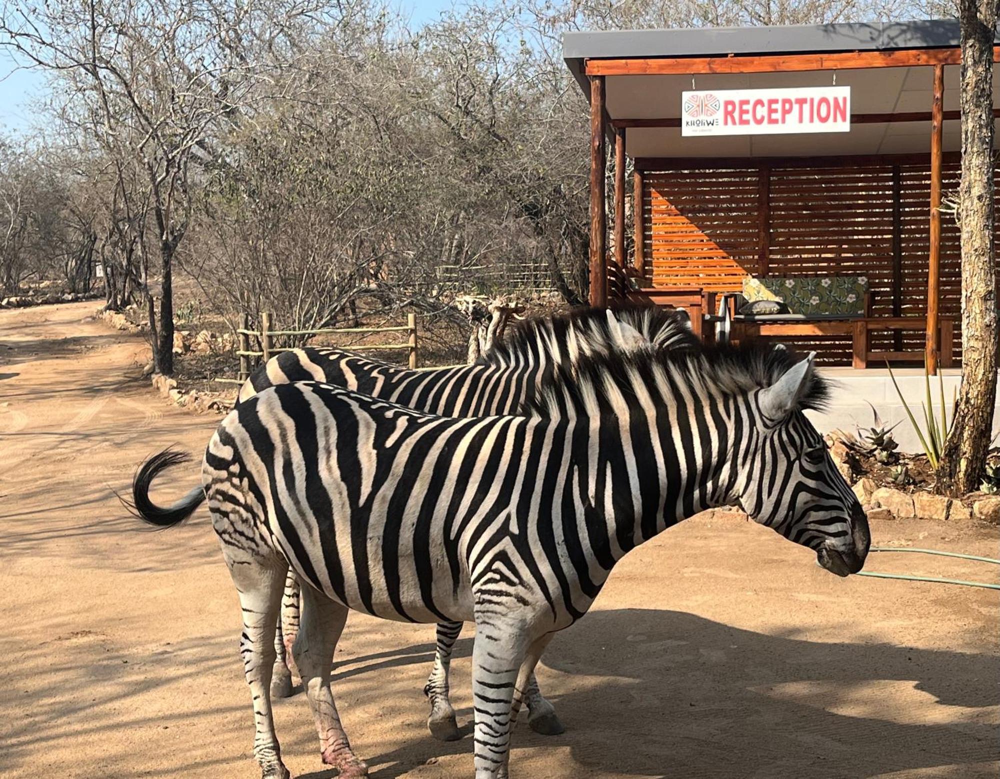 Kholiwe On Kruger Lodge & Safaris Marloth Park Buitenkant foto
