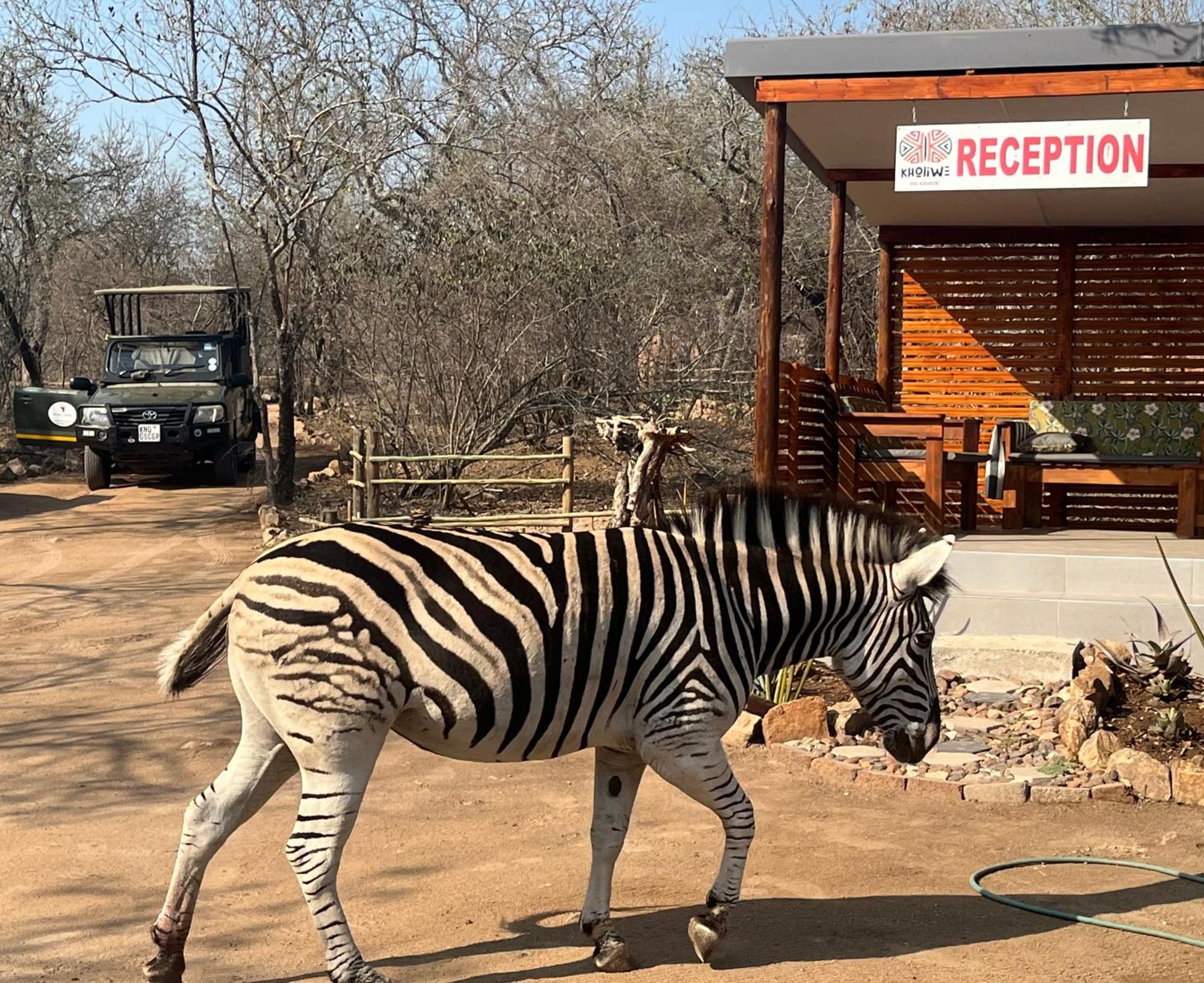 Kholiwe On Kruger Lodge & Safaris Marloth Park Buitenkant foto