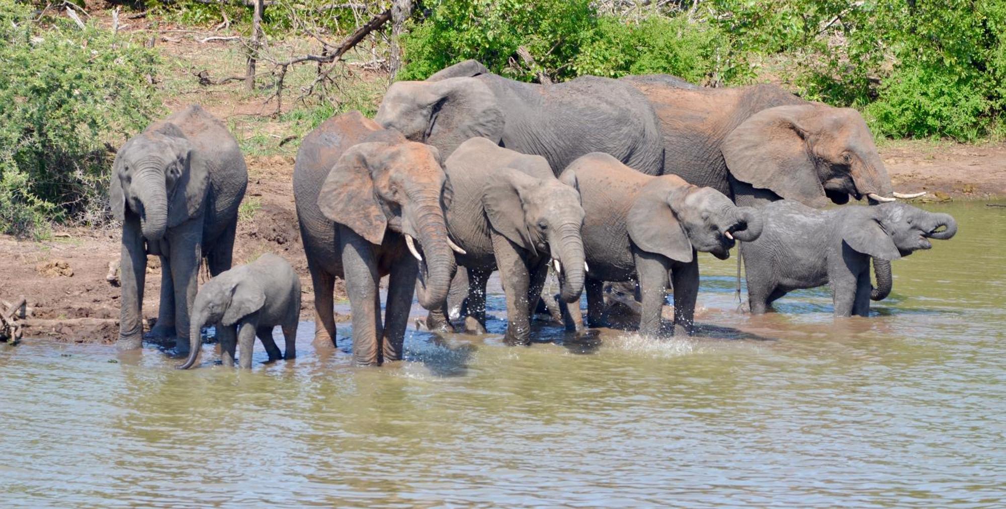 Kholiwe On Kruger Lodge & Safaris Marloth Park Buitenkant foto