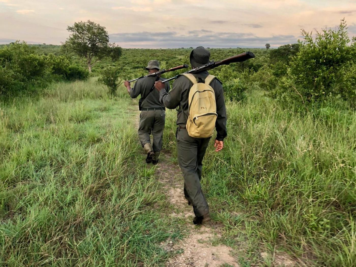 Kholiwe On Kruger Lodge & Safaris Marloth Park Buitenkant foto