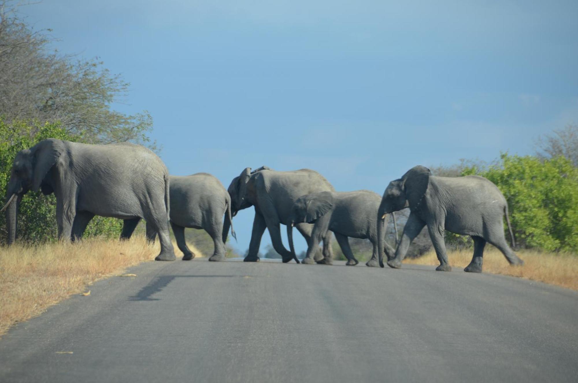 Kholiwe On Kruger Lodge & Safaris Marloth Park Buitenkant foto